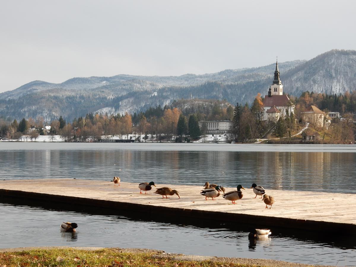 Lake House Sebanc بليد المظهر الخارجي الصورة
